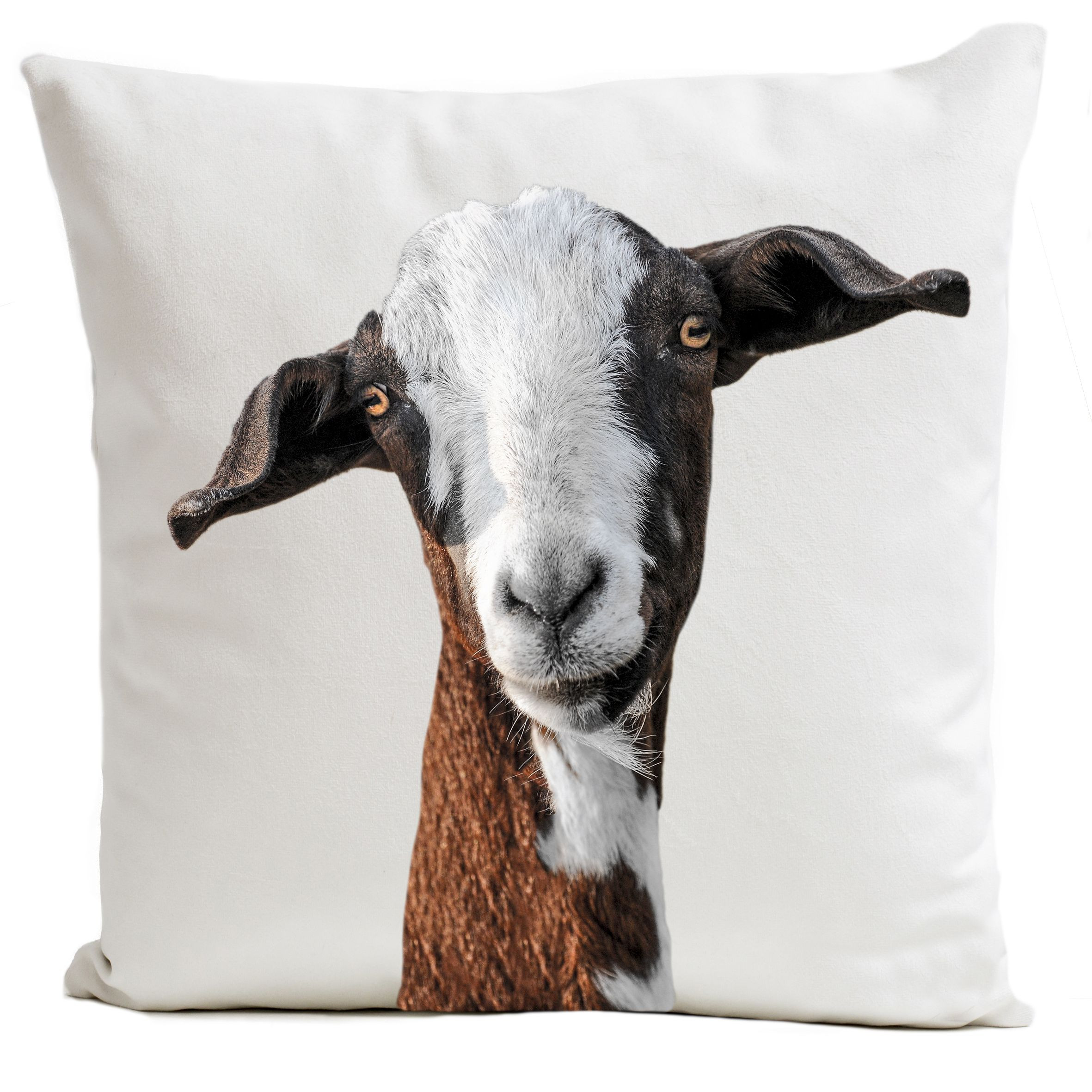goat pillow case