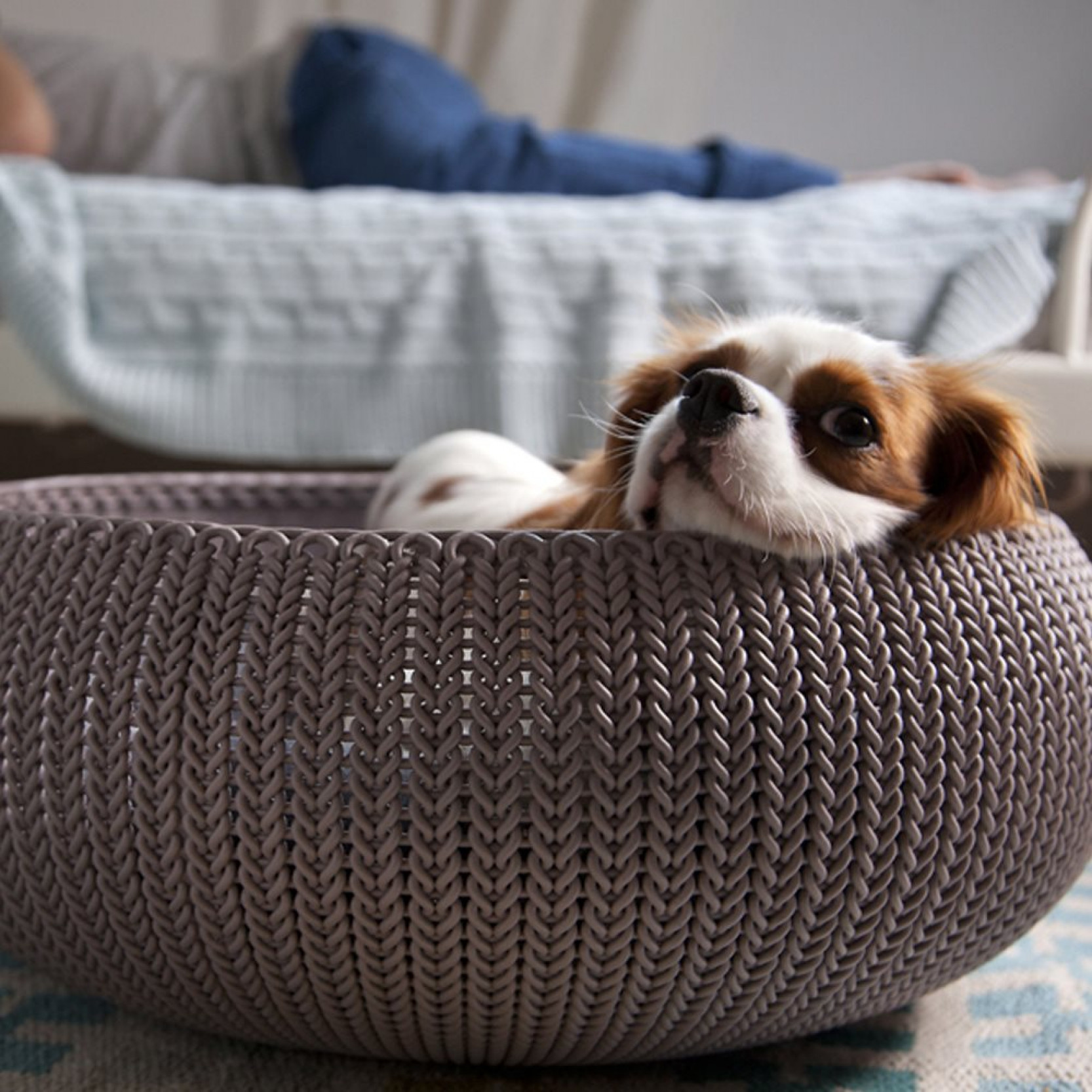 curver cozy