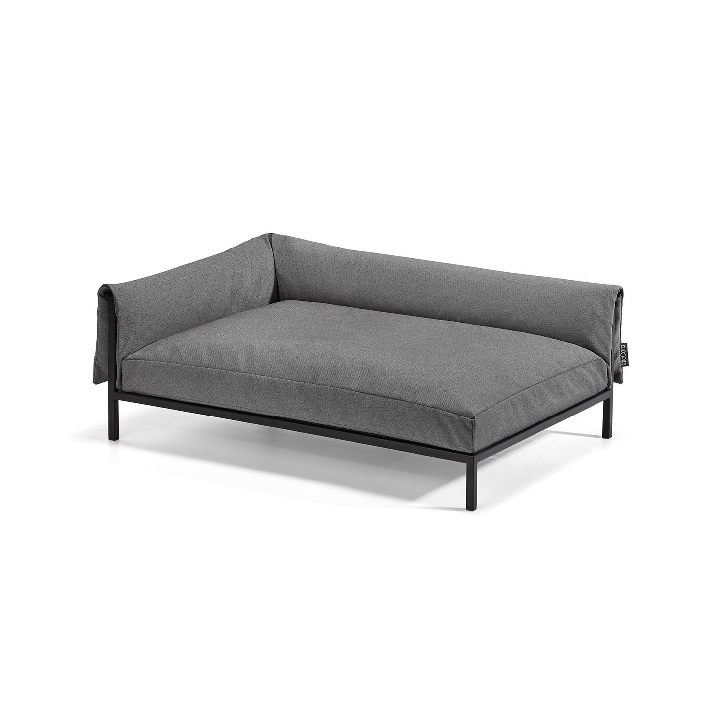 black dog sofa