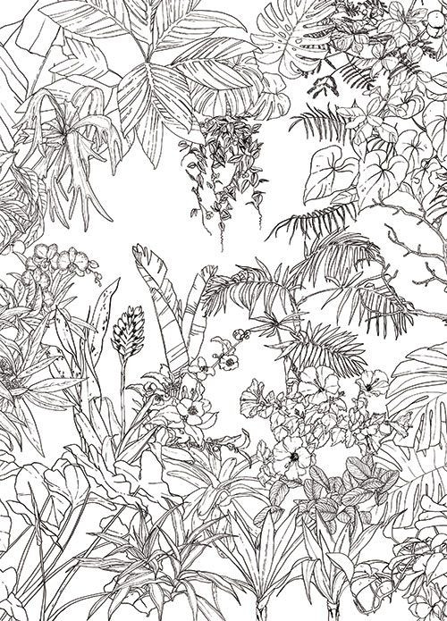 Ohmywall Wallpaper Jungle Tropical Black White Medium Decovry