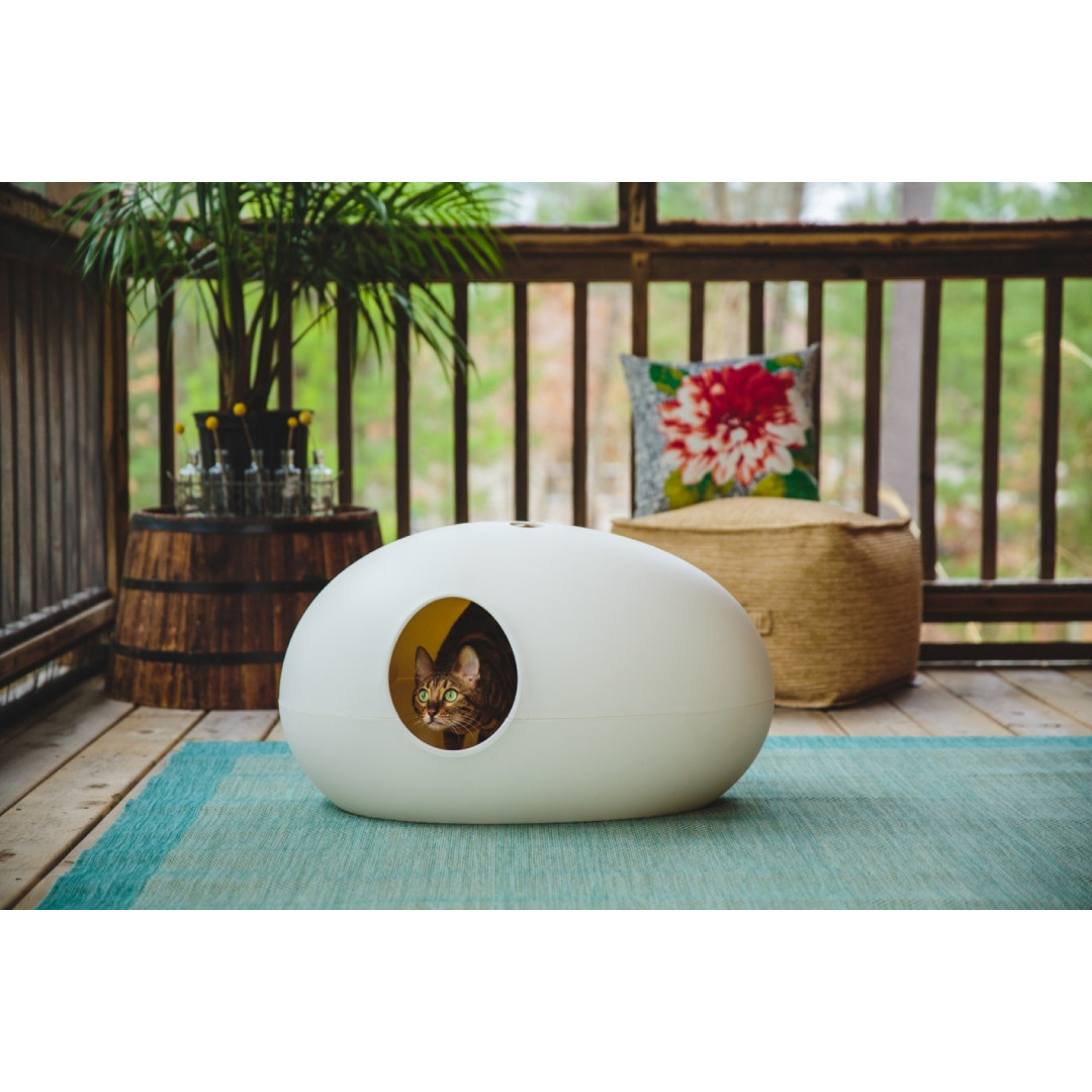 poopoopeedo litter box