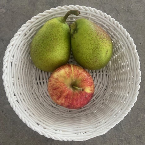 Seletti | Edgy Italian design